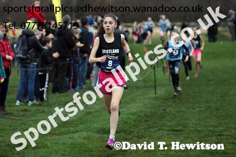 Girls under-13 Inter-District, 2017 Great Edinburgh Cross Country. Photo: David T. Hewitson/Sports for All PIcs